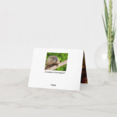 グラウンドホッグユーモアお誕生日ケーキカード サンキューカード (裏面)