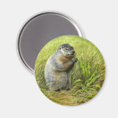 グラウンドホッグ磁石 マグネット (正面/裏面)