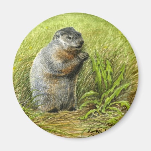 グラウンドホッグ磁石 マグネット (正面)