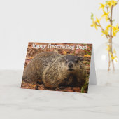 グラウンドホッグ カード (黄色い花)