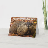 グラウンドホッグ カード (正面)