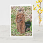グラウンドホッグ カード (黄色い花)