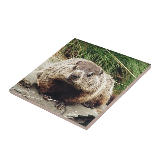 グラウンドホッグ タイル (側面)