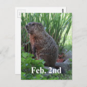 グラウンドホッグ・デー ポストカード (正面/裏面)