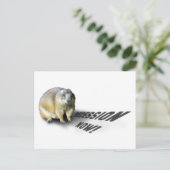 グラウンドホッグ・フィルは… ポストカード (スタンド正面)