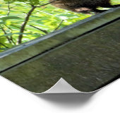 グラウンドホッグ ポスター (角)