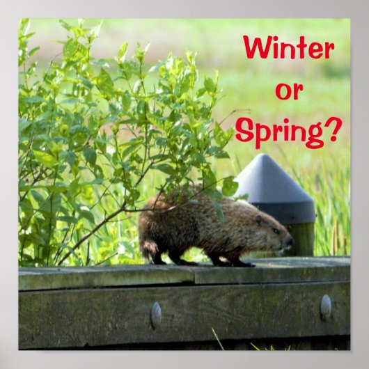 グラウンドホッグ ポスター (正面)