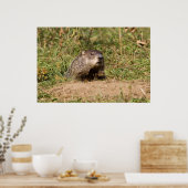 グラウンドホッグ ポスター (キッチン)