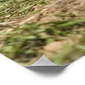 グラウンドホッグ ポスター (角)