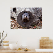 グラウンドホッグ ポスター (キッチン)