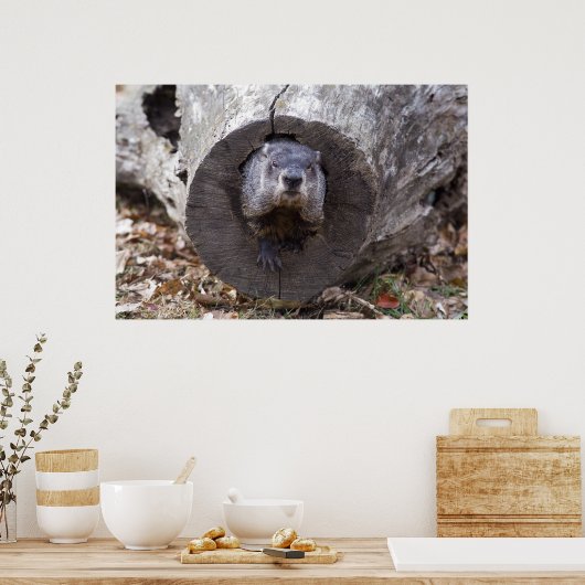 グラウンドホッグ ポスター (キッチン)