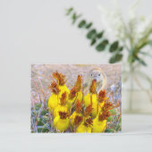 グラウンドリスとバレルサボテン ポストカード (スタンド正面)