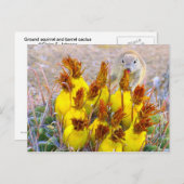グラウンドリスとバレルサボテン ポストカード (正面/裏面)