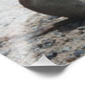 グラウンドリス写真プリント フォトプリント            (角)