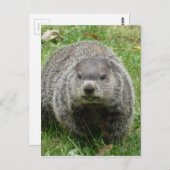 グラウン食べグの ポストカード (正面/裏面)