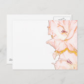 グラジオラスのスケッチ ポストカード (正面/裏面)