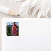 グラジオラスガーデン ラベル (インサイチュ)