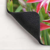 グラジオラス赤と白サマーガーデン マウスパッド (コーナー)