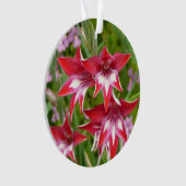 グラジオラス赤と白サマーボタニカル オーナメント (正面)