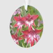 グラジオラス赤と白サマーボタニカル オーナメント (正面)