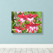 グラジオラス赤と白サマーボタニカル キャンバスプリント (インサイチュ (ウッドフロア))