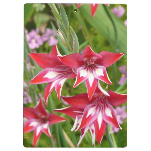 グラジオラス赤と白サマーボタニカル クリップボード (裏面)