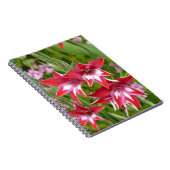 グラジオラス赤と白サマーボタニカル ノートブック (右側)