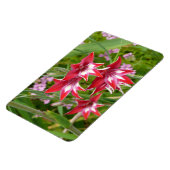 グラジオラス赤と白サマーボタニカル マグネット (左側)