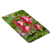 グラジオラス赤と白サマーボタニカル マグネット (右側)