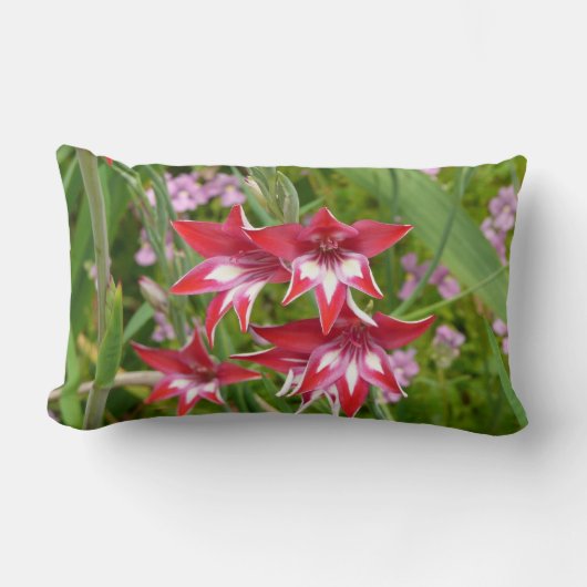 グラジオラス赤と白サマーボタニカル ランバークッション (正面)