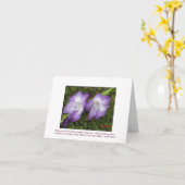 グラジオラス カード (黄色い花)