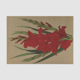 グラジオラス・ガンダベンシス。バールブレンチ・レイエンシス 薄葉紙