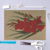 グラジオラス・ガンダベンシス。バールブレンチ・レイエンシス 薄葉紙 (クラフト)