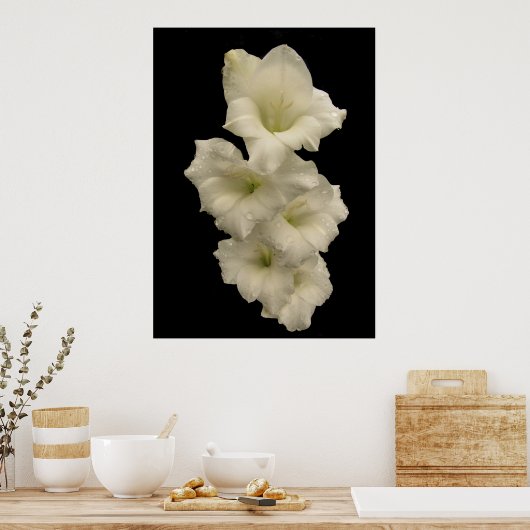 グラジオラス ポスター (キッチン)