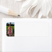 グラジオラス ラベル (インサイチュ)