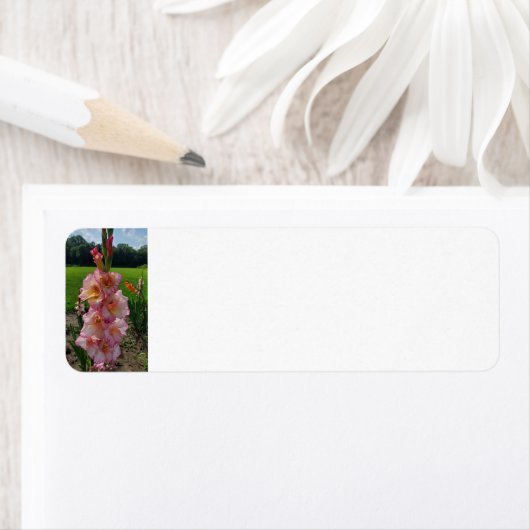 グラジオラス ラベル (インサイチュ)