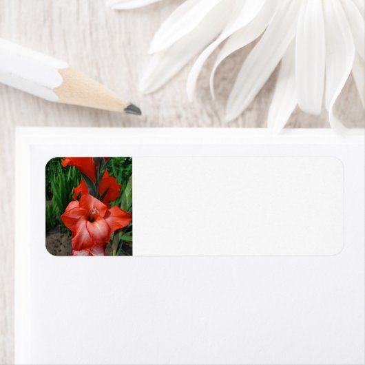 グラジオラス ラベル (インサイチュ)