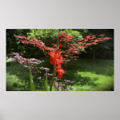 グラジオリ ポスター (正面)