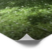 グラジオリ ポスター (角)