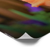 グラジオリ ポスター (角)