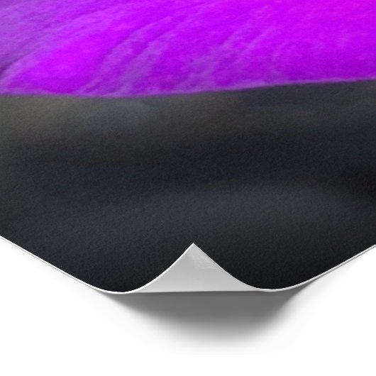 グラジオリ ポスター (角)