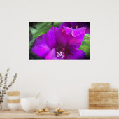 グラジオリ ポスター (キッチン)