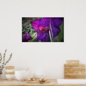 グラジオリ ポスター (キッチン)