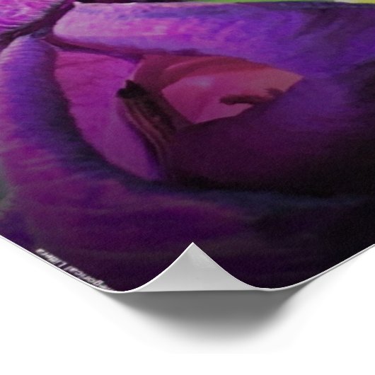 グラジオリ ポスター (角)