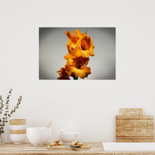 グラジオリ ポスター (キッチン)