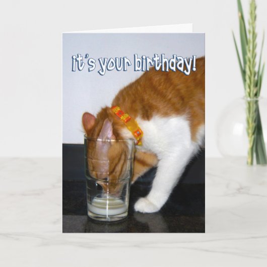 グラスから飲む面白い猫 - お誕生日おめでとうございます カード (正面)