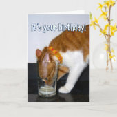 グラスから飲む面白い猫 - お誕生日おめでとうございます カード (黄色い花)