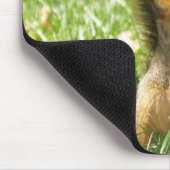 グラスの写真のマウスパッドでリスを出す マウスパッド (コーナー)