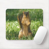 グラスの写真のマウスパッドでリスを出す マウスパッド (マウス)