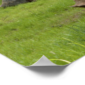 グラスアルダブラカメ ポスター (角)